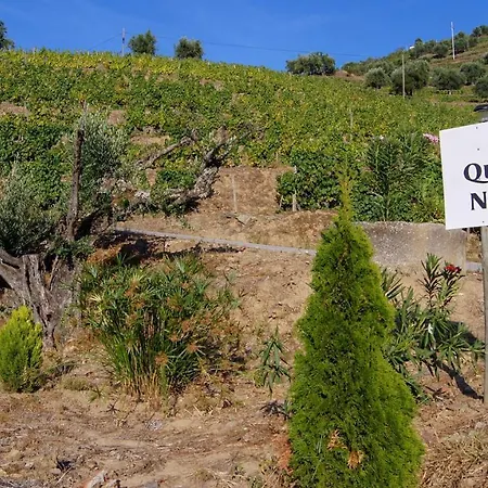 Casa Quinta Da Nogueira Pinhão