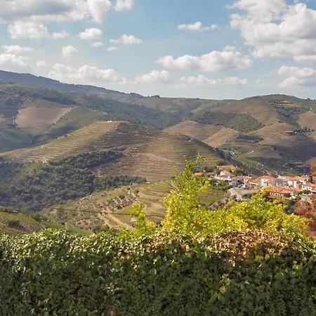 Casa Quinta Da Nogueira