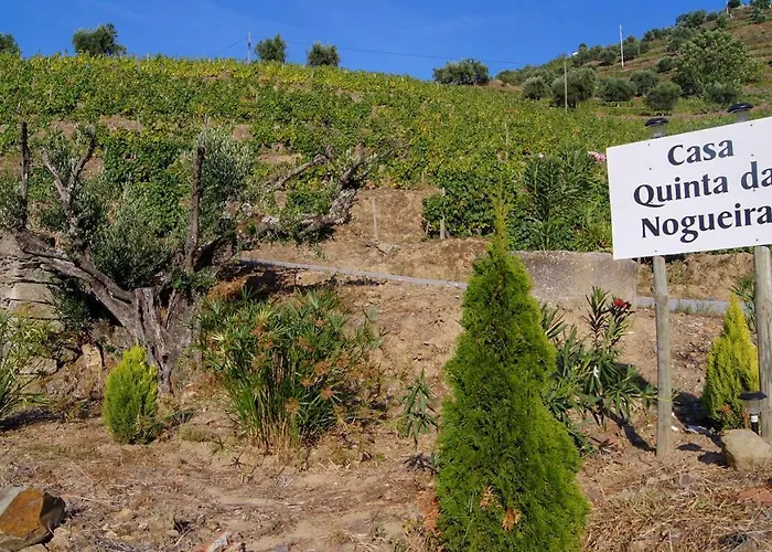 Casa Quinta Da Nogueira Pinhão